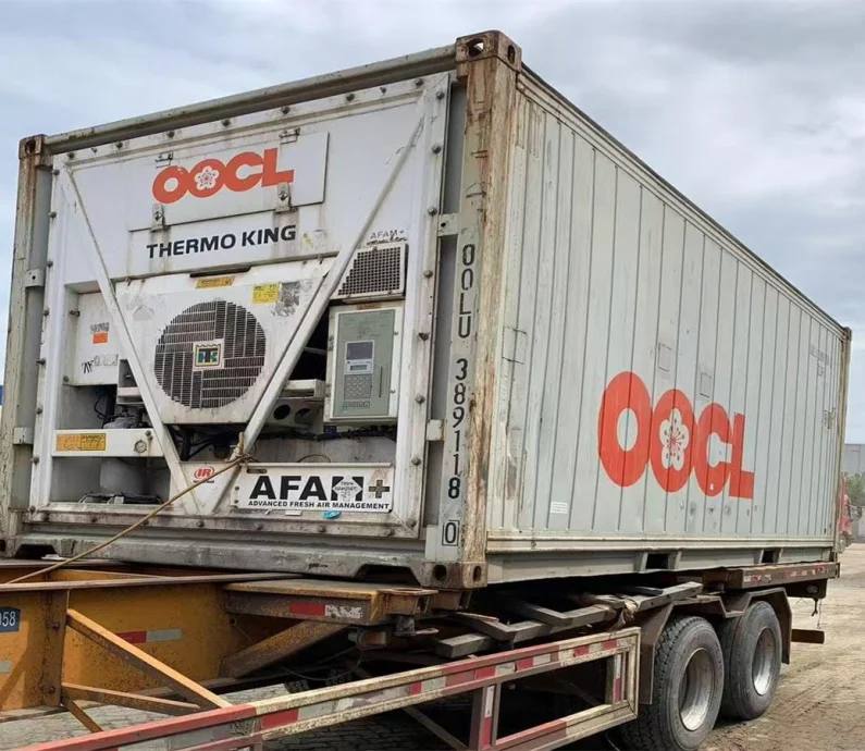 BRF Shiping Loading Of Freezer