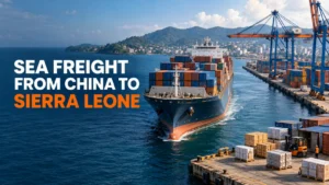 Sea Freight from China to Sierra Leone | FCL & LCL