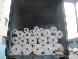 PE Sheet Shipping from Qingdao to Minneapolis, USA